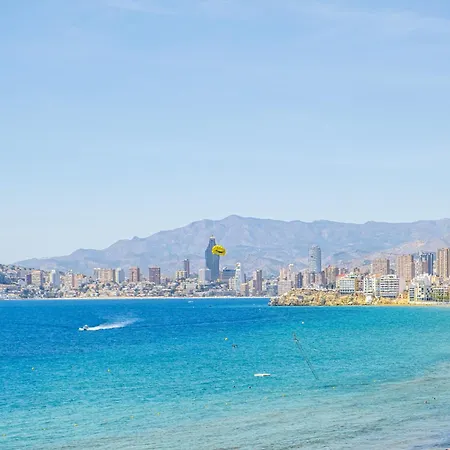 Albatros 14-10 Estudio Levante