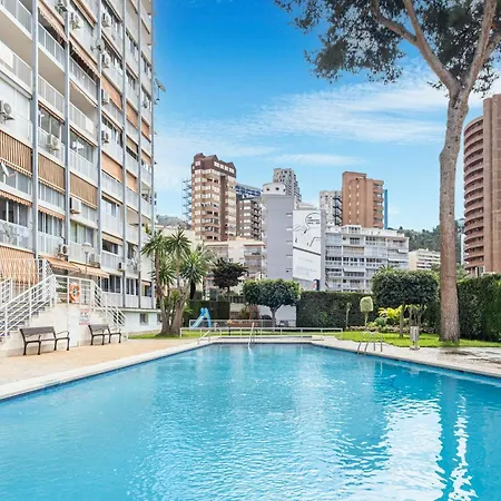 Albatros 14-10 Estudio Levante * Benidorm