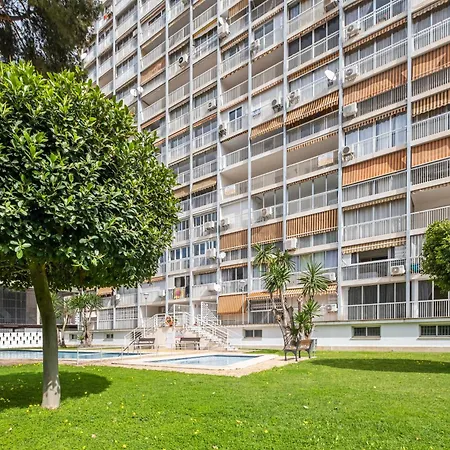 Albatros 14-10 Estudio Levante Apartmán Benidorm